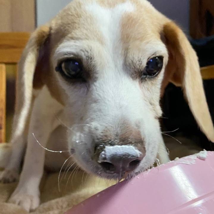 C3e610f2 f54a 44a6 9f9e f22cbba5beff 1630152083785