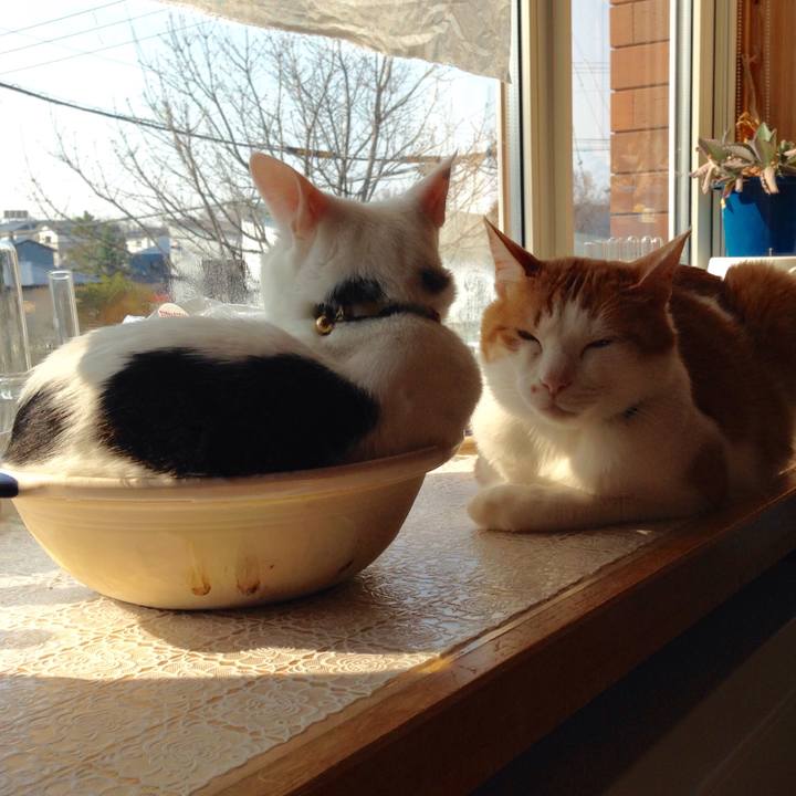 C3e63e3f 93db 4641 af73 a90d07a74295 1524869892299