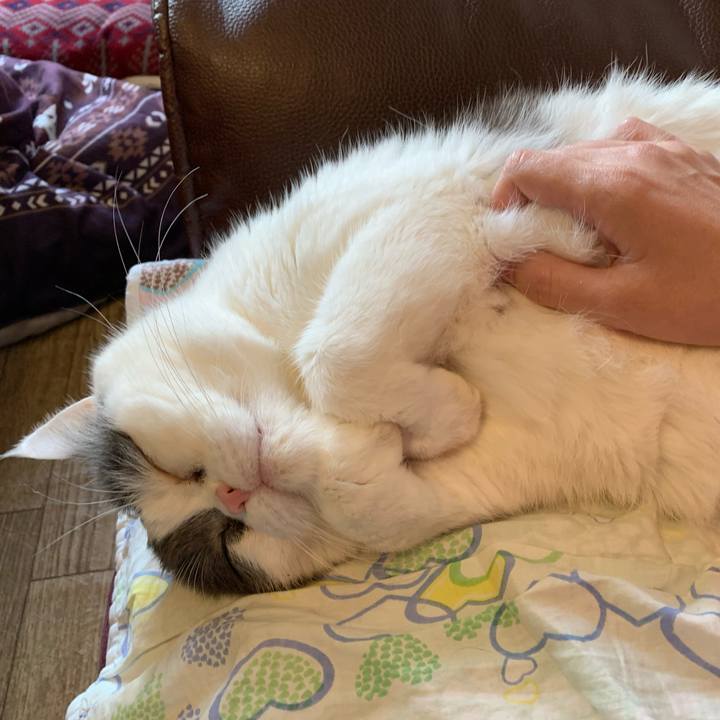 C3e65529 8237 40e1 a35a 24b4b31d9805 1586079665138