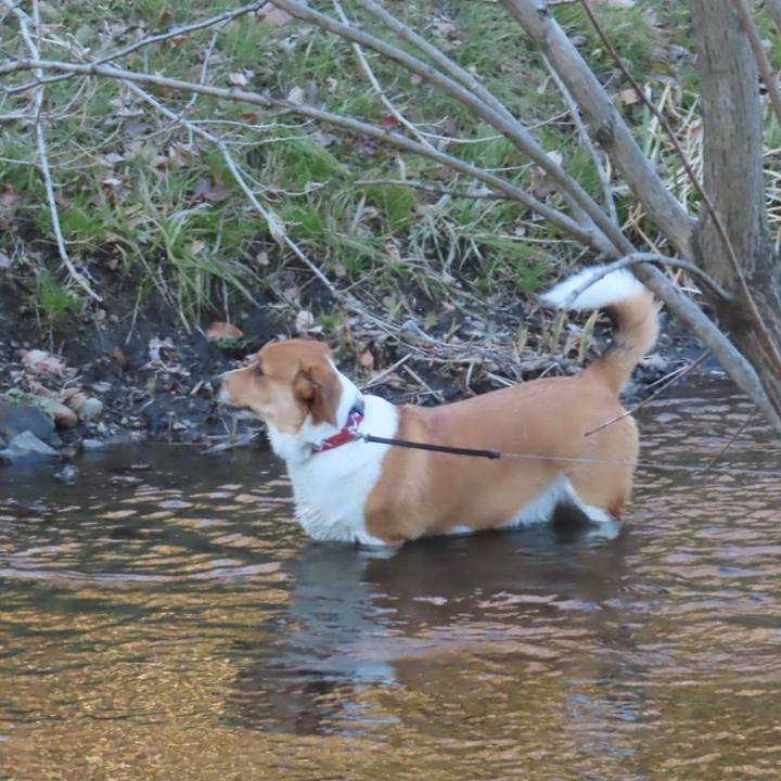 C3e67379 c791 4c83 99d9 dac51deaed97 1642840288602