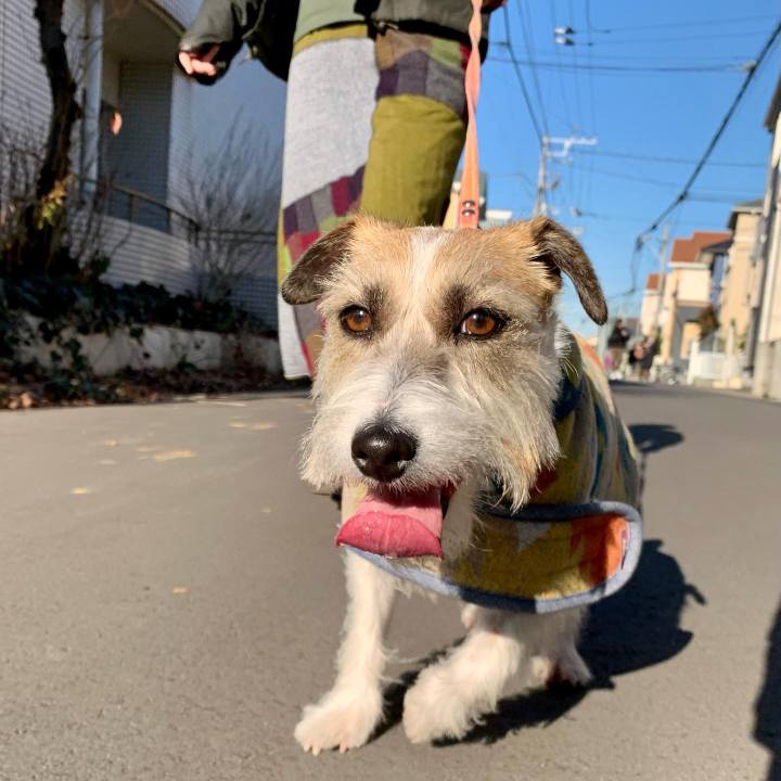 C3e67559 cfef 46f6 8098 abcf6389fbe8 1672575682519