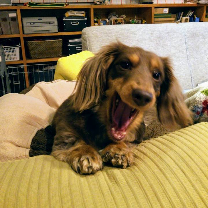 C3e69397 e440 41e9 a35d f2cb59099797 1513865566556