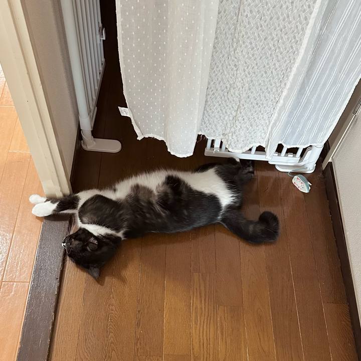 C3e6972d 5c7c 458c b57c a898fb3100e6 1757310627589