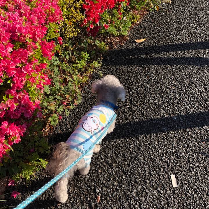 C3e6c3a6 1dac 45be aef5 d5300a601959 1618443187089