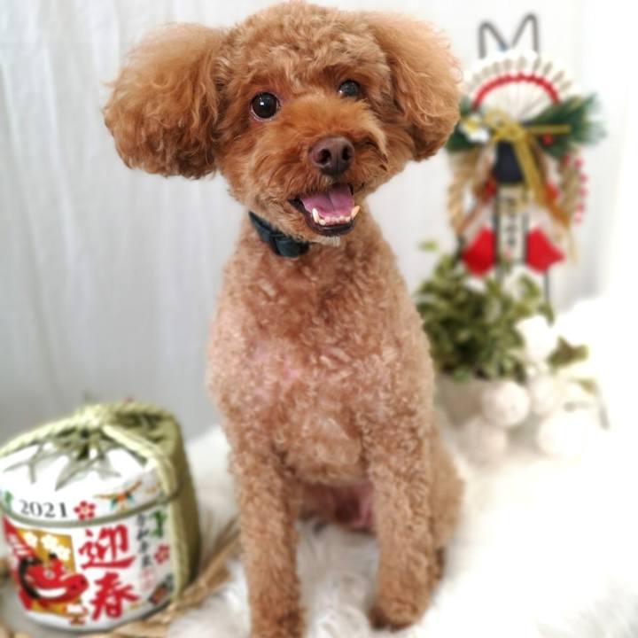 C3e6c46b eaf6 4b17 b288 824ff3a824c5 1609496992380