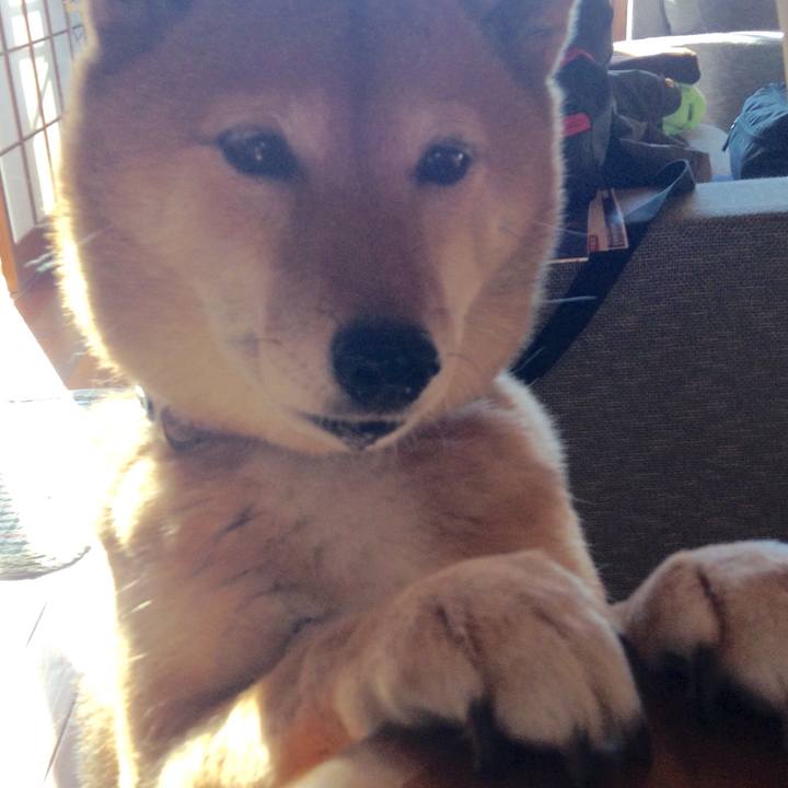 C3e6d050 ab72 4a8f ae63 8ef4cfb994b0 1513928925408