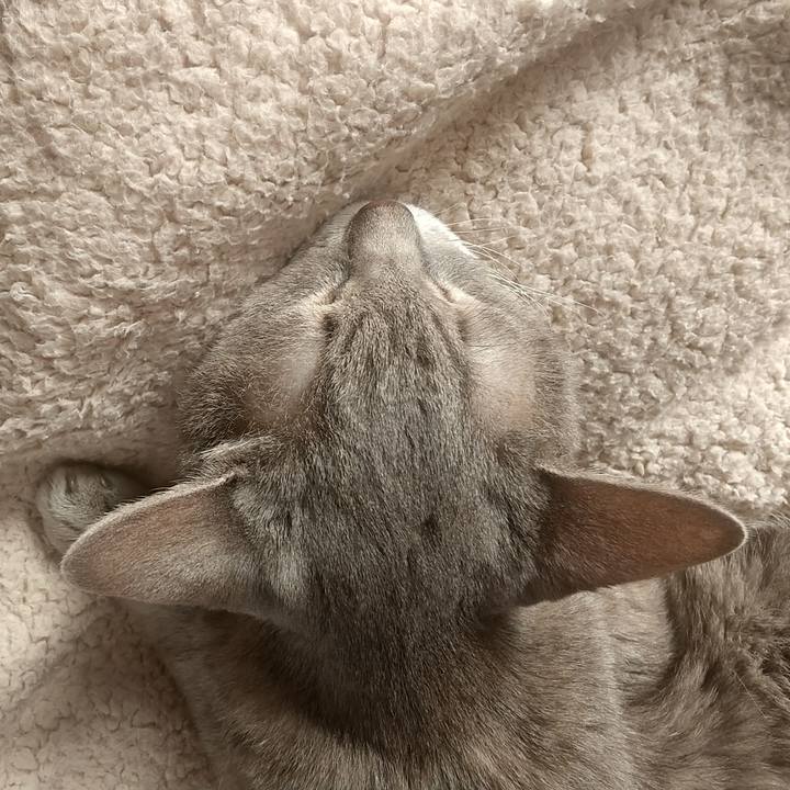 C3e6e4bf d45d 4f35 a8be 42678473b981 1699493974793