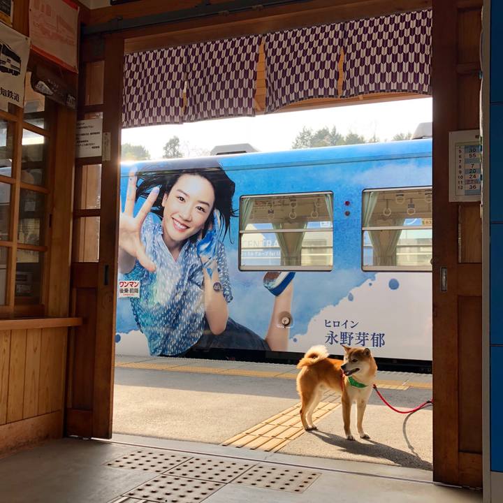 C3e72b50 ae5f 4604 b799 2c34cfe0dcb7 1522653269241