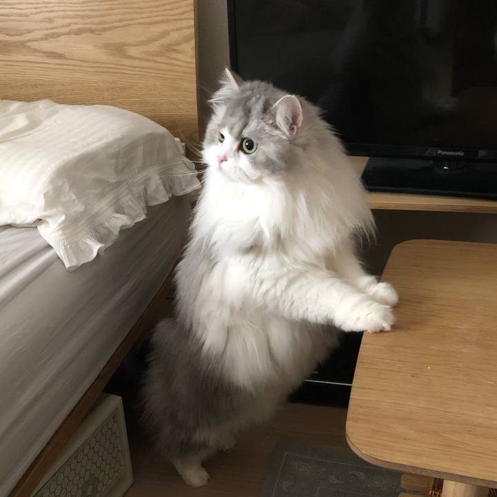 C3e74a92 5a2e 4b0b a65f 8697f3eb9030 1583551651784