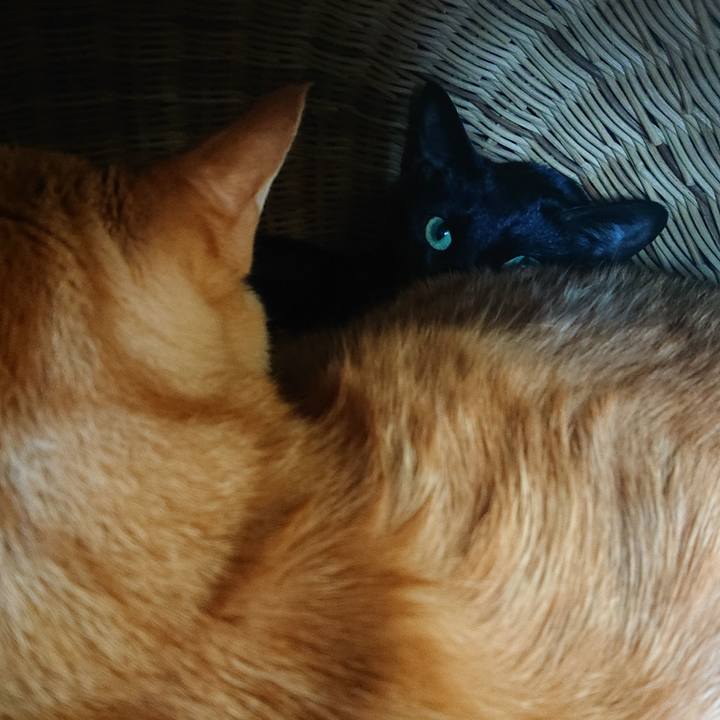 C3e750e6 3b5d 4f35 892a f7651c34ae8a 1671340622668