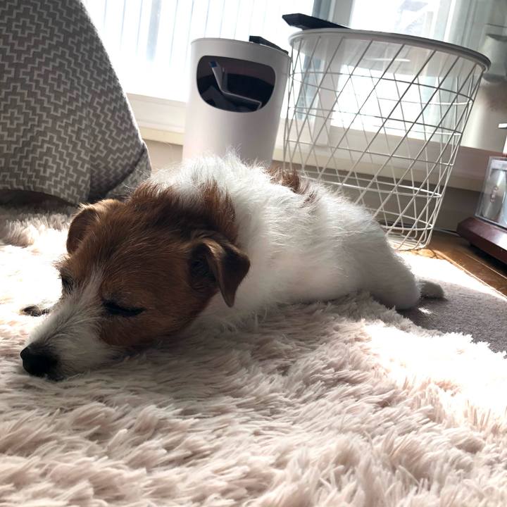 C3e776e6 faf2 471b 8495 bf6edcb3333e 1620513818009