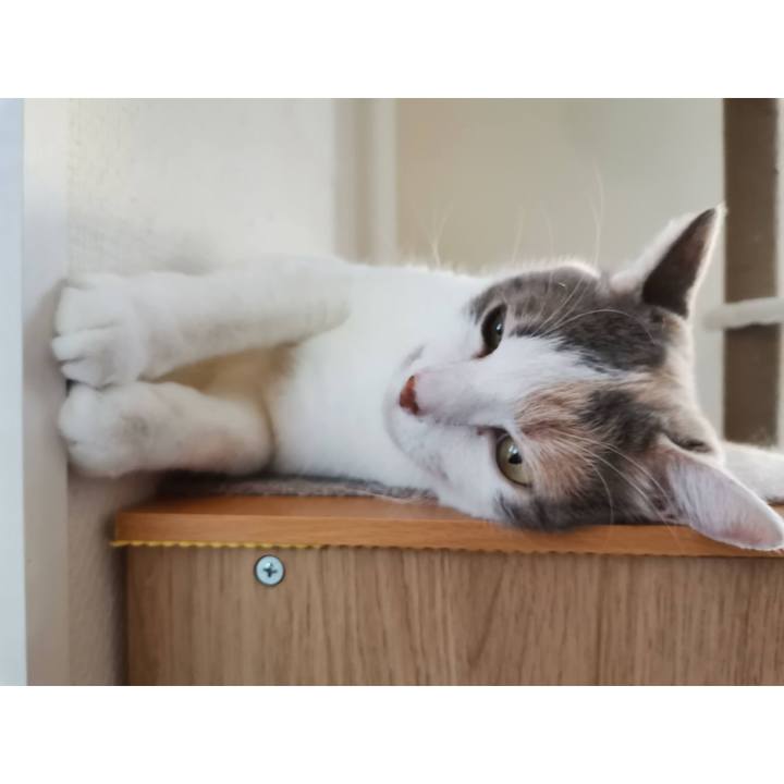 C3e77f1d ca24 4160 8c6d 53e0d1282486 1631282130788