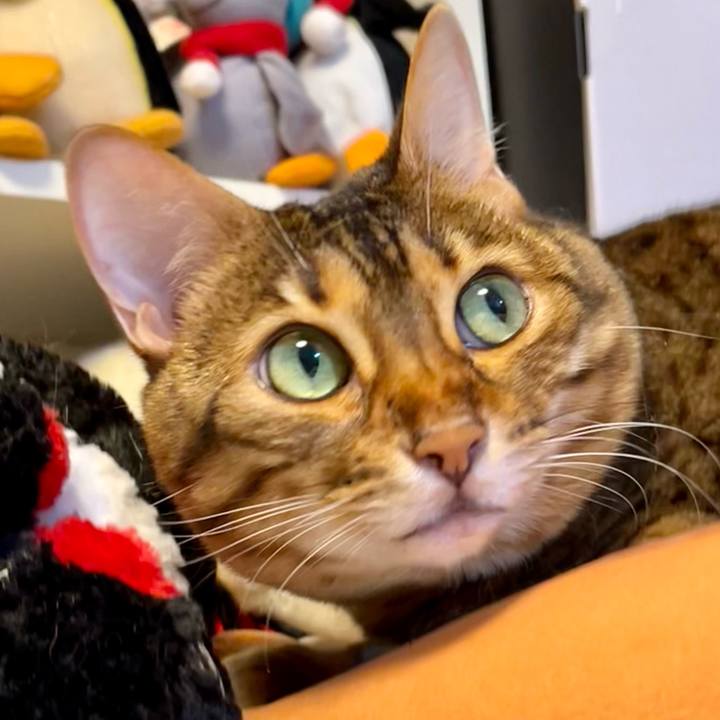 C3e791c3 9187 42c9 8724 7ad82346f8bf 1657711662561