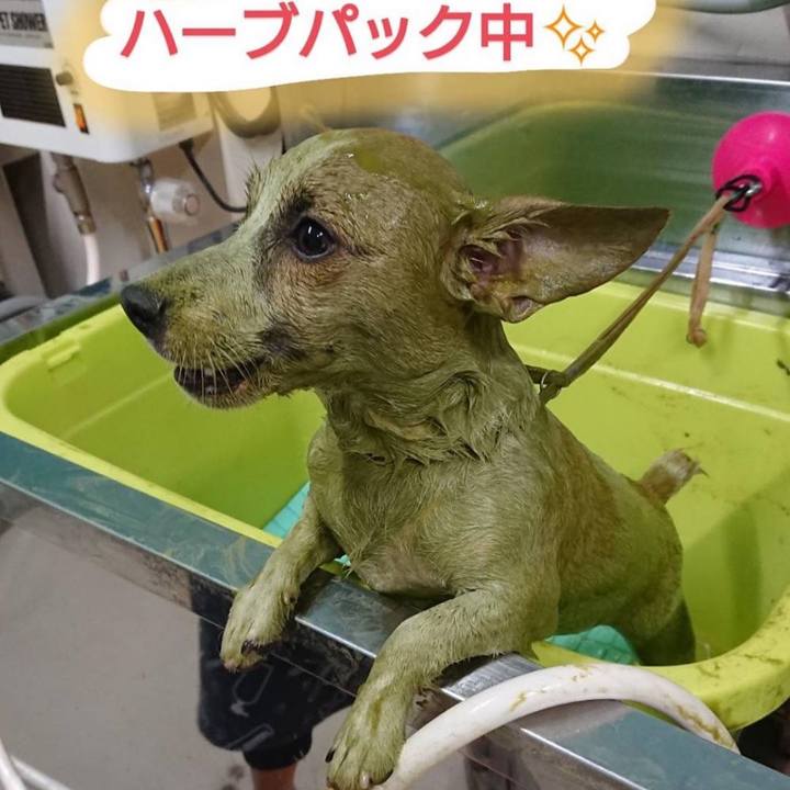 C3e7df3e 10bf 4d3f 9a2c 897acd30d575 1564788792001