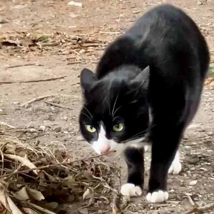 C3e805c3 db78 4940 a34a 3306614f5874 1734349223890