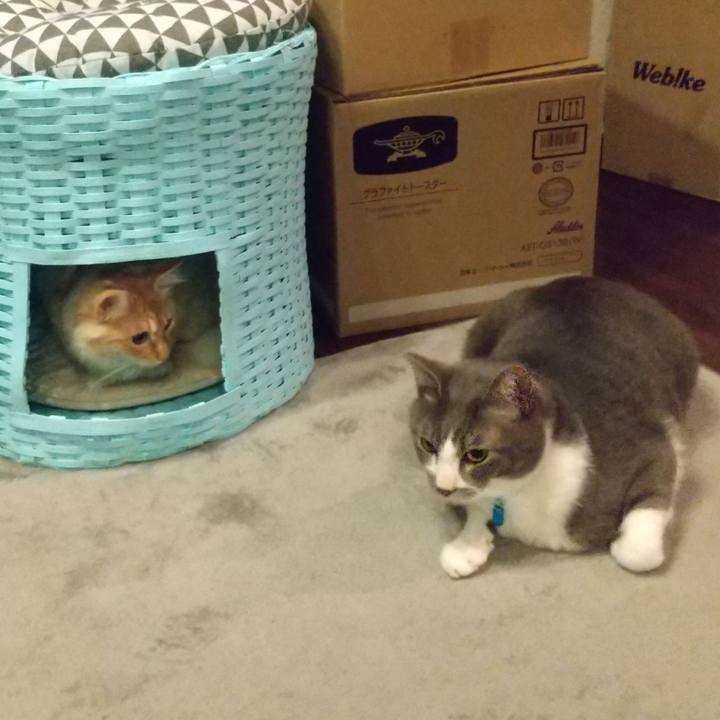 C3e819e1 1a79 423b b930 4476564b51ca 1617707704685