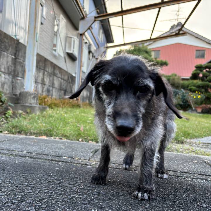 C3e82ed7 1731 4d76 977e ed623b0d17c9 1764025812200