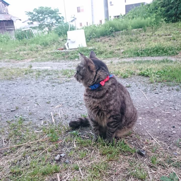 C3e88ead d59a 456a 88e4 7b015bdb07a5 1654080358371