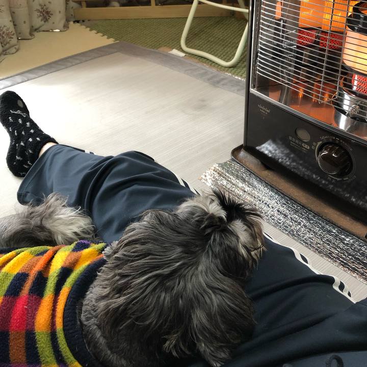 C3e89bd1 426a 4695 8bf2 df794db6a97c 1575093169008