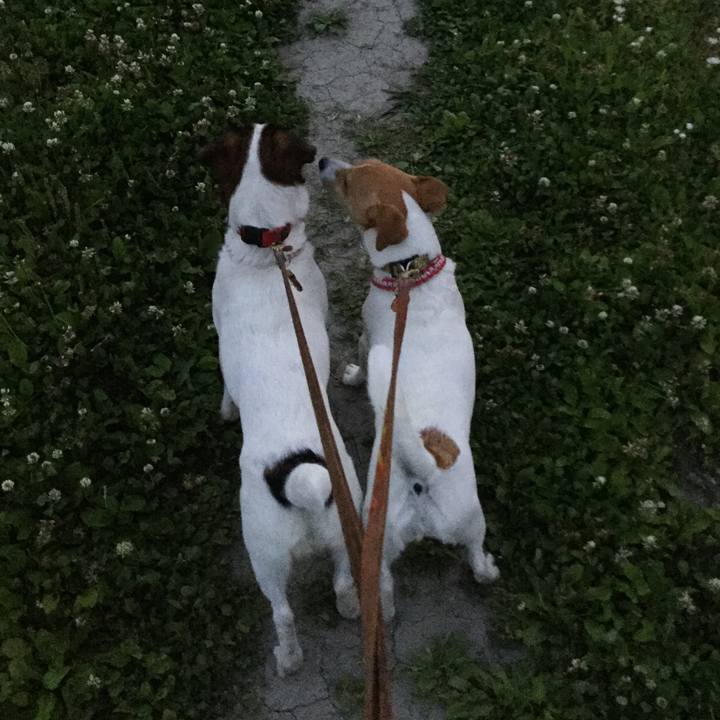 C3e8a5f5 a4d4 4dd7 afb8 7d99891ea363 1557569525839