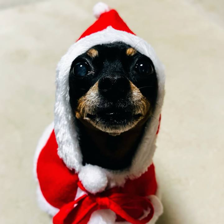 C3e8b9ad 6cd8 4a72 835b 1118fafbf69d 1766582763616