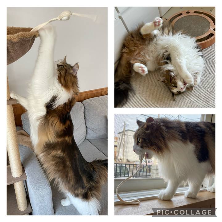 C3e8bee3 bd83 4697 b128 916eee411013 1683152617154