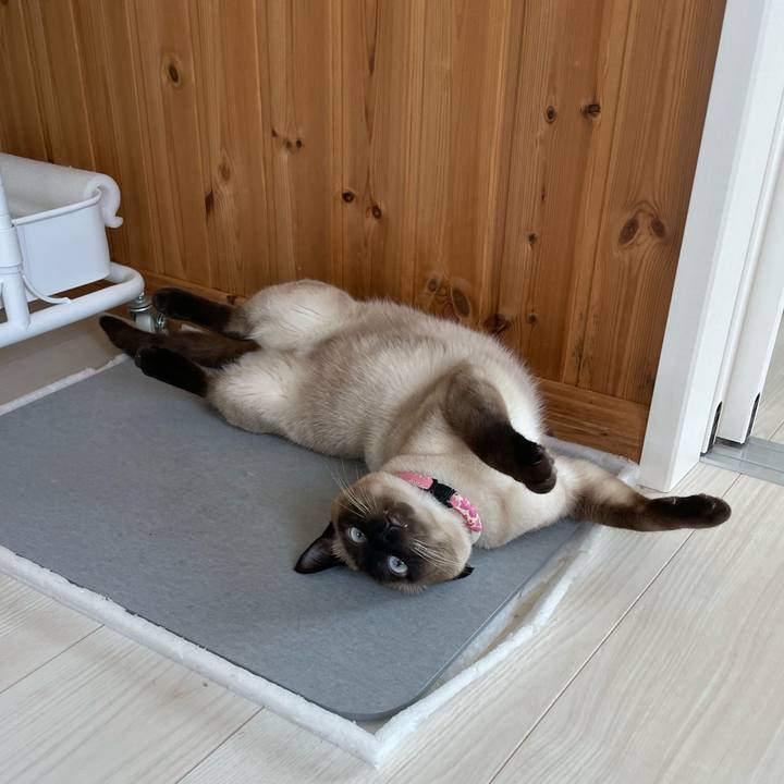 C3e8c3cd 5ba4 4a7c b36b 518a04b0dfab 1717880331981