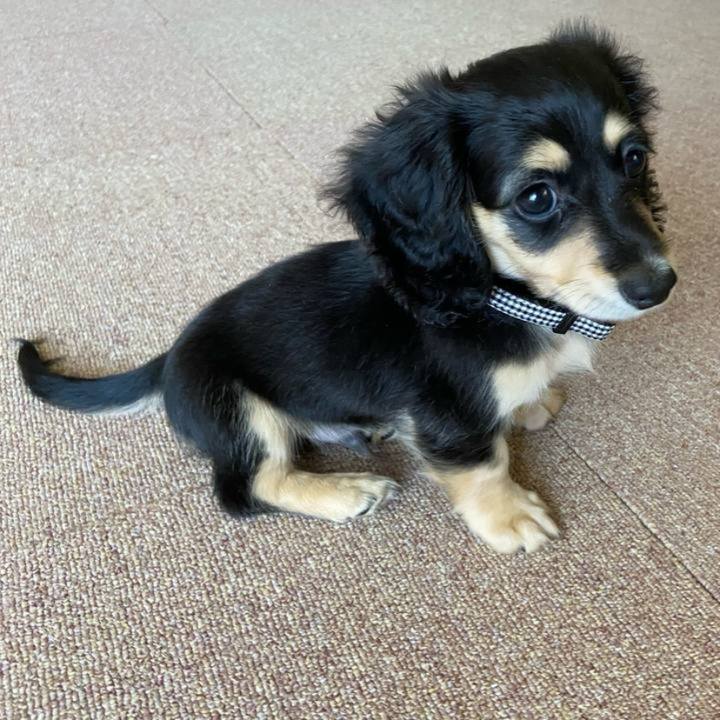 C3e8d160 e907 475a b935 ccec07ce976d 1696229908033