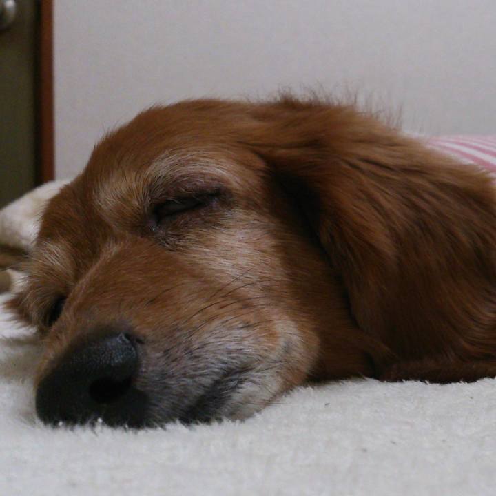 C3e8ea3b 3707 485d b2ca 287c22dd6fb9 1626105934672