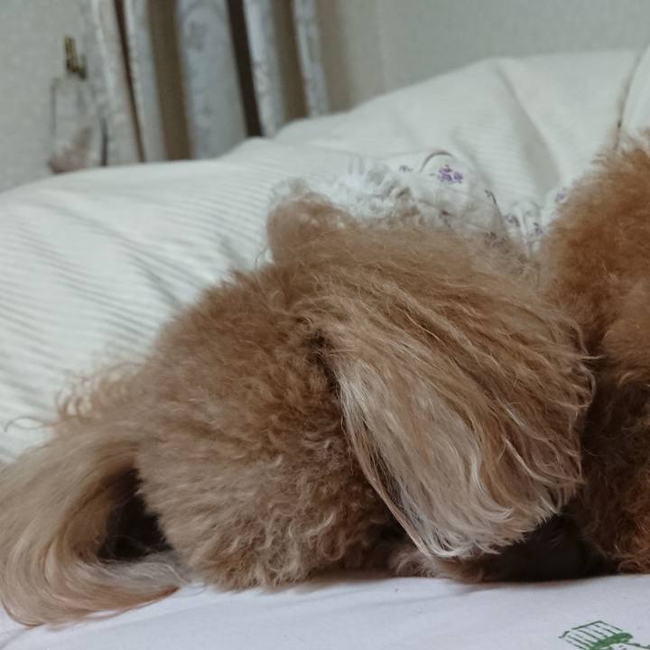 C3e8fa9a 0f28 43d2 abf9 d44c91409f85 1543754585353