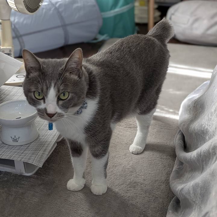 C3e95941 5a26 4928 adae 6bf8fb6d7050 1765184120342