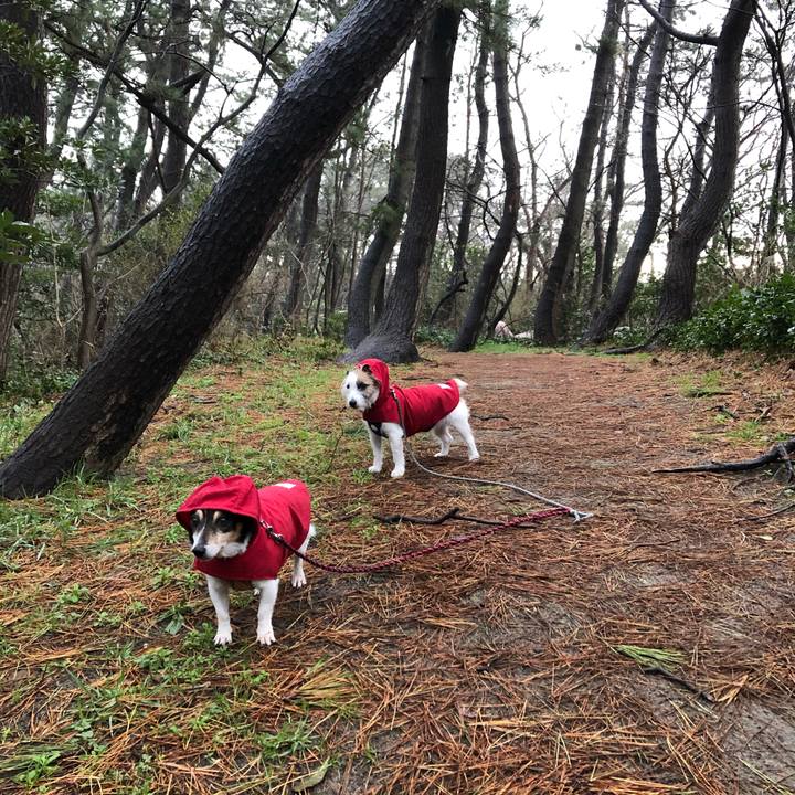 C3e98392 b625 41af b39f fa906840d78b 1582759904251