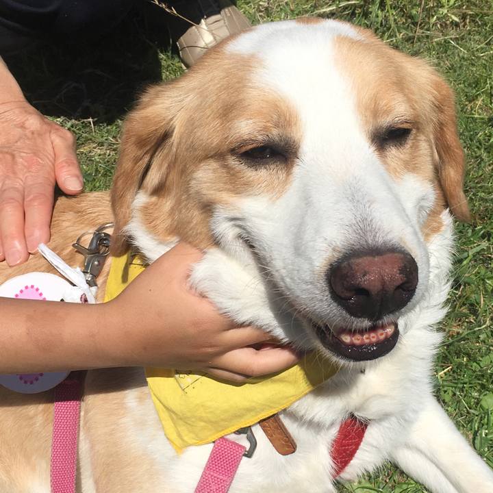 C3e983b2 9b9c 4f78 9a5d 815fe30c23f7 1527899088847