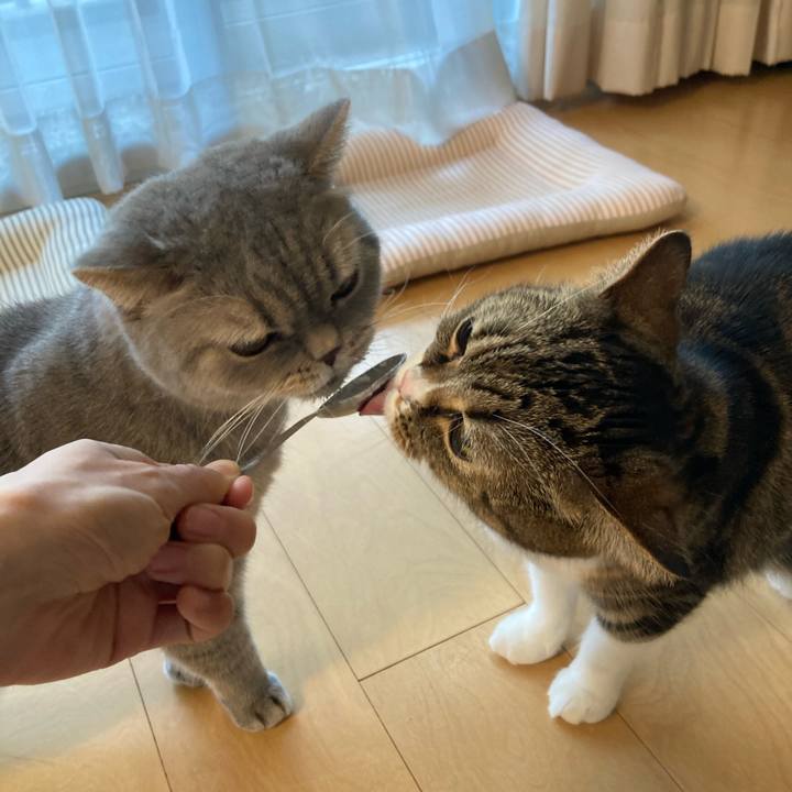 C3e99c47 b1e2 424b 90ff c48fc436959b 1773531228020