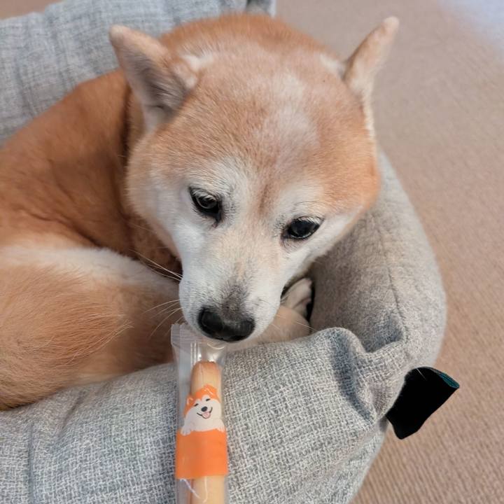 C3e9bc0b 28c9 4921 86b1 413f129529c8 1763470812165