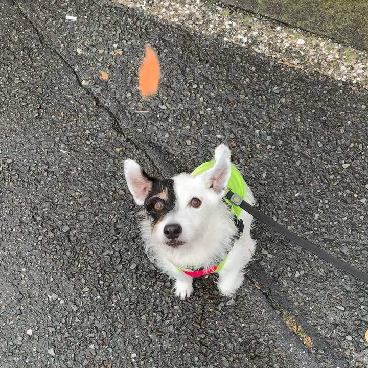 C3e9c3e0 4369 4540 b56f 42cff3af6250 1719104004783