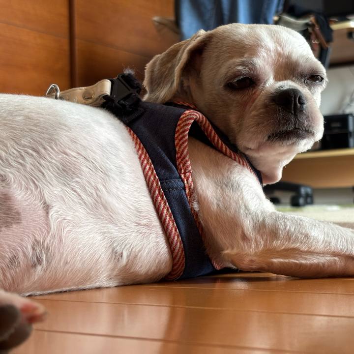 C3ea1073 59ae 4782 bf8d 094adfbca891 1756331010473