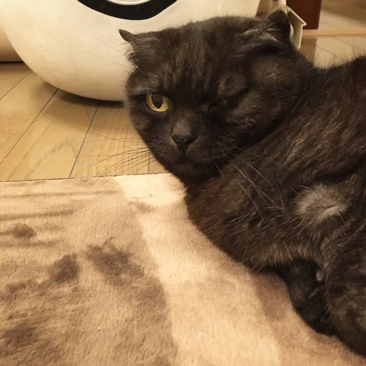 C3ea2827 6ef7 42ed b48f 9761dbc6d6db 1587833415690