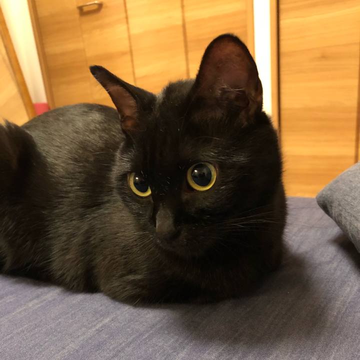 C3ea2ad2 1e7e 4058 ae7e 129adbca498b 1508163865409