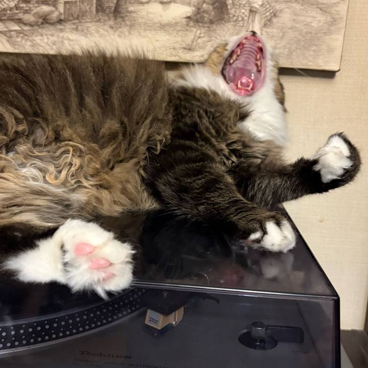 C3eaa879 01ef 4088 b199 e8b3b2237963 1757560945087