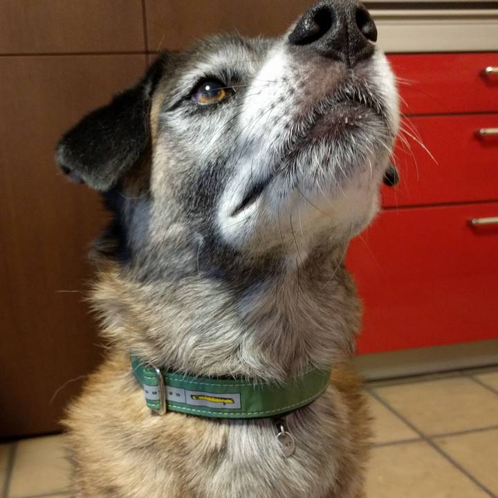 C3eb0ac2 0655 4986 a748 7a3e7c79d9aa 1507874028382