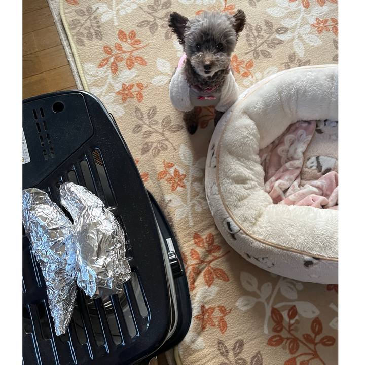 C3eb4b91 e3d3 41ba 91d9 b8c3feabeaec 1705815639484