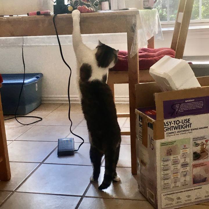 C3eb4f0e 0d04 491c 87c6 b78bd5d6129a 1656457730059