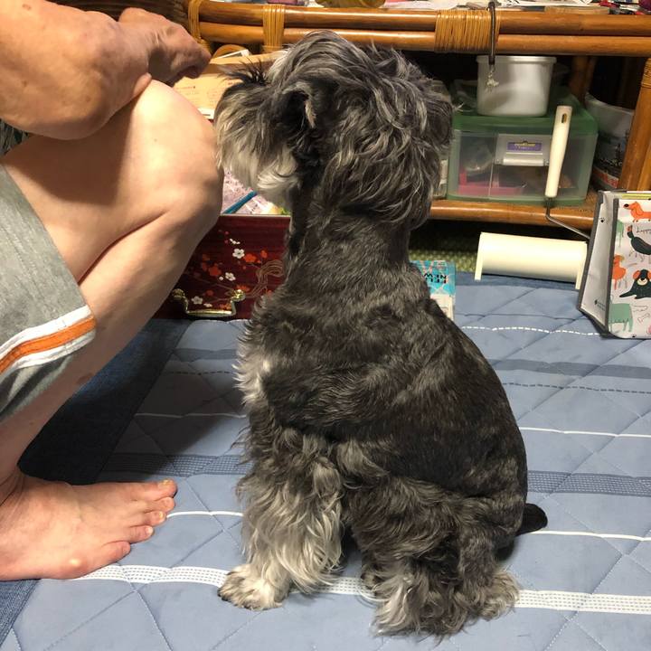 C3eb948a 2d7b 4703 9e9b 0eb64ecc008f 1693565049517