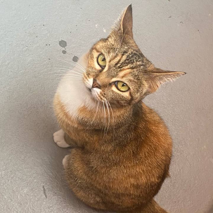 C3ebb1e3 7685 448f 8a7b 52573063d085 1620440392216