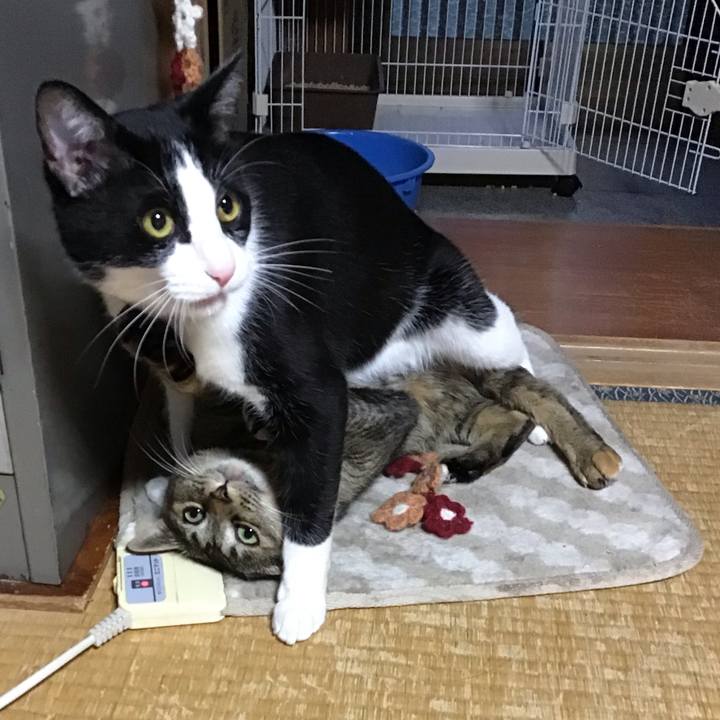 C3ebcba1 a57d 45f6 9a71 1c28edf9424a 1650792236184