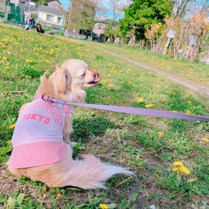 C3ebe9db b0d6 4189 935d 255a5f8a4217 1650094211212