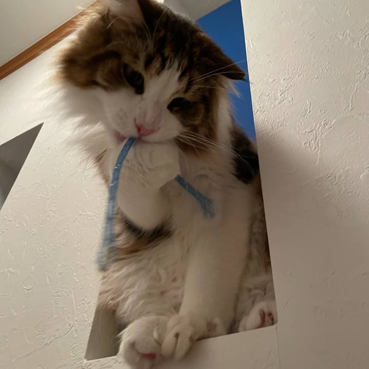 C3eca2ae 019d 4d7e b6b9 1f3d3c2dd435 1655502339944