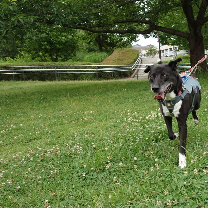 C3ecaaf7 f13b 4aa2 bd28 938461c5b267 1717894938676