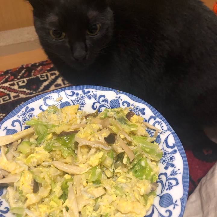 C3ecd1f1 64c8 4ceb 8721 a1ac5d5a9c0c 1561032266523